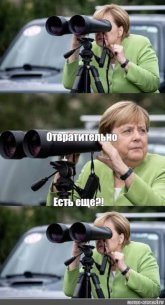 1786129311613.jpeg