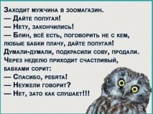 сова.jpg