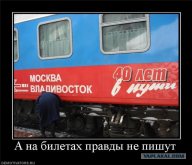 2337052.jpg