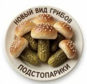 гл.jpg