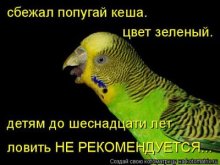 1685789-68326d4cb6a581f3.jpg