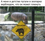 i.jpg