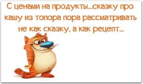 15677576.jpg