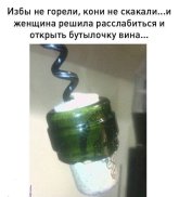 1000109841.jpg