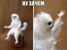 1787505569515.png