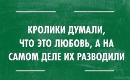 1000007411.jpg