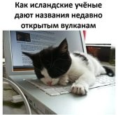 1000017196.jpg
