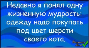 2430476749.jpg
