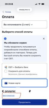 IMG_4483.jpeg