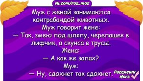 2584462762.jpg