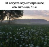 1000110264.jpg