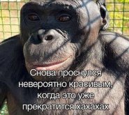 825eb2260b_000000000000.jpg
