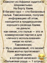 пальма.jpg