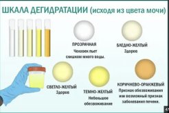Снимок экрана 2026-09-05 221628.jpg