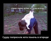 2021-04-21-mixnews-1618987379_10.jpg