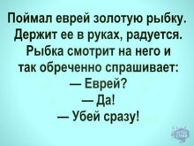 19568349.jpg