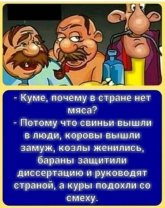 aeddd8f0c4948aca4c0e3dca2eb367ea.jpg
