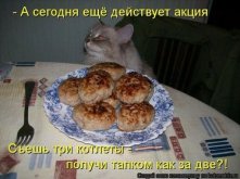 eab99164ba91cd8ef1fc2137021cfee7.jpg