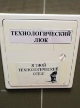 okkirn5r~2.jpg