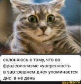 d9bed4bcf78b677b6a9e7df74f37aeb5feb58232eac3c0c25c59f7a8311617e6_1.jpg