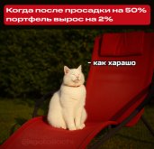 iipvk2nw.jpg
