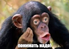 1789385612273.png