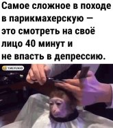 2308837.jpg