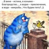 i (2).jpg