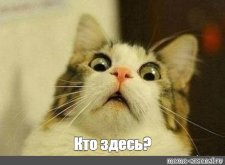 images (1).jpg