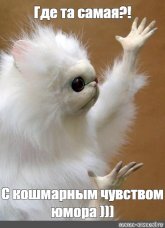 d08da7b1ea51a327d42ebcfb1c285b26.jpg