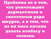 8718e78f5d_000.jpg