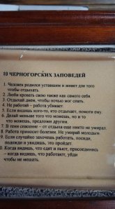 860f938a66_21225673.jpg