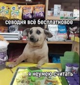 images.jpg