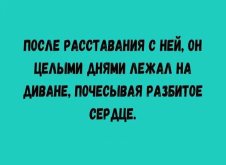 737023d208_21213709.jpg