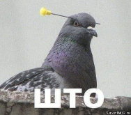 1790182883065.png