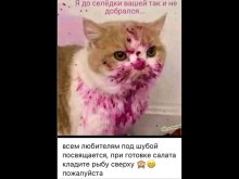 IMG_5341.jpeg