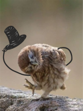 1790443481847.png