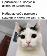 1790848006619.png