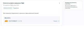 Без имени 6.jpg