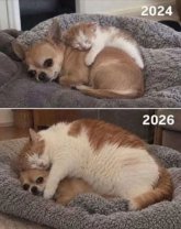 1000003542.jpg