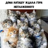 1000112457.jpg
