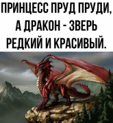 1791188662411.png