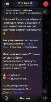 IMG_5717.jpeg