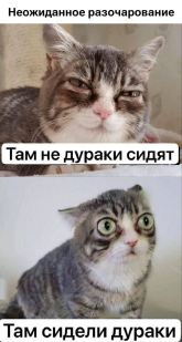 1792063590029.png