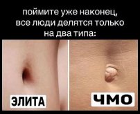 1000003392.jpg