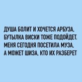 18b3e8ce83_21291048.jpg