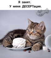 1792608946486.png
