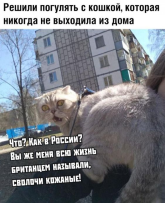 1792842926655.png