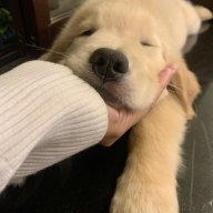 Лиана Михайлова