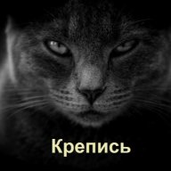 Кот ученый